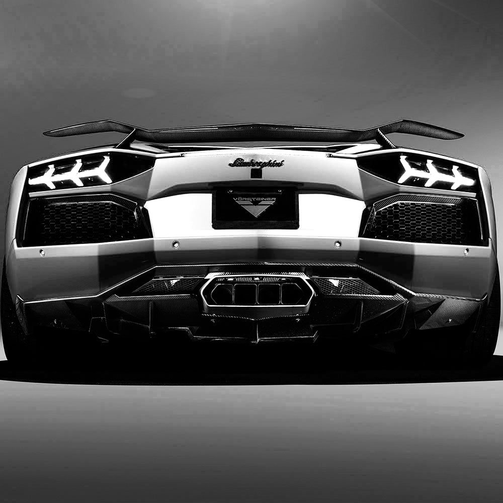 LAMBORGHINI AVENTADOR V AERO CARBON FIBER WING