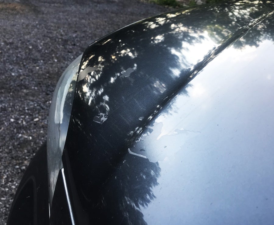 BMW 1 Series E87 / Bonnet (Grey) / Radiator Cover / Headlights