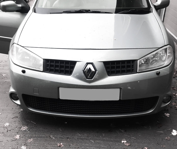 Renault Megane Sport 225 Front Bumper Grills Phase 1